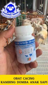ALBENPROS 300 1 POT 50 Kaplet Obat Cacing Anak Sapi Kambing Domba cempe pedet cacing pita hati paru