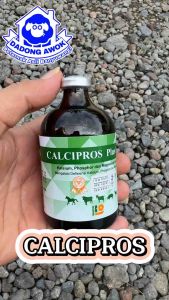 CALCIPROS PLUS 100ML - Obat Sapi Kambing broyongen Ambruk Lumpuh kurang kalsium Domba babi anjing