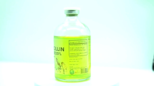 Game Changer Amoxicillin Trihydrate 20% – Long Acting Antibiotic Injectable | 200mg/mL | For Swine Cattle Goat & Gamefowl