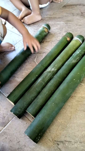 buluh lemang segar dari ladang 5 pcs.