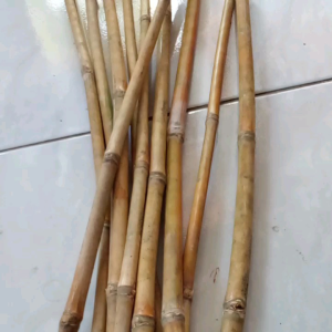 Carangan Bambu Ranting Bambu Kering