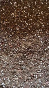 ดินปลูกกระบองเพชร 30 วันกาย สูตรพรีเมียม น้ำดี ระบายน้ำดี แถมฟรี ปูยออสโมโค้ท 13-13-13 100 กรัม