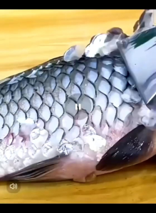 OHHDEER 304 Stainless Steel Fast Cleaning Fish Scale Peeler Fish Scraper Fish Skin Remover Tools