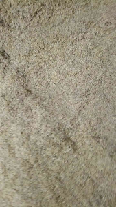 แกลบดิบ แกลบขาว เป็นวัสดุปลูกต้นไม้ทุกชนิด 800กรัม/ถุง