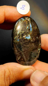 ลาบลาดอไลท์ ทรงหลังเบี้ย🔸Labradorite 