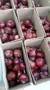 Bawang Merah India / Bawang Peking 1 Kg