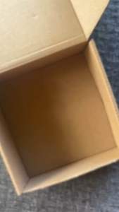 Bini Jhoanna Robles Merch Box Kit for Blooms Perfect for Gift and Giveaways