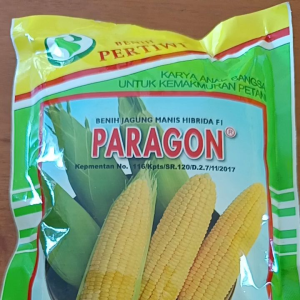 Benih Jagung Hibrida Paragon isi 1.750 Biji "Pertiwi"