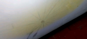 PSU SONY KLV-32BX300 ORIGINAL REGULATOR POWER SUPPLY