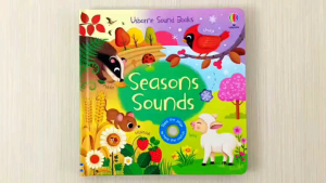 Usborne Sound Books Seasons Sounds