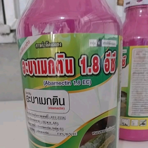 อะบาเมกติน สูตรเย็น สารกำจัดแมลงประสิทธิภาพสูง อัตราใช้น้อย ออกฤทธิ์กำจัดแมลงทั้งแบบ สัมผัสตาย และยังสามารถดูดซึมเข้าสู่ใบพืชได้