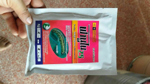 ฟานูไน25 50กรัม (ไดฟลูเบนซูรอน) กำจัดเพลี้ย คุมไข่หนอน คุมการลอกคราบหนอน หนอนชอนใบส้ม แมลงวันผลไม้  หนอนห่อใบข้าว หนอนกระทู้