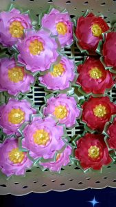 เหรียญโปรยทานดอกบัวดาว ตัวเปล่าราคาถูก20ดอก