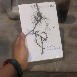 Novel To Kill a Mockingbird karya Harper Lee