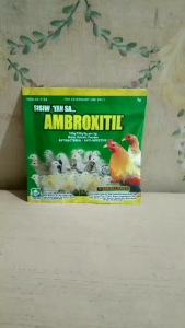 Ambroxitil pawde 5grams (1 sachet only)