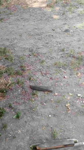 Golok Super Tajam Multifungsi: Perkakas Kebun & Alat Rumah Tangga