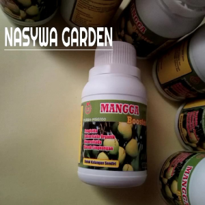 Pupuk Booster Mangga Nutrisi dan Perangsang Super Supaya Cepat Berbuah Lebat Cegah Kerontokan
