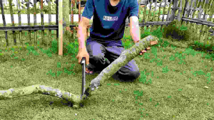 Golok Candung Baja Perkupas Kelapatebang Kayu/Bambu