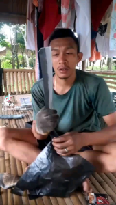 peralatan kebun perlengkapan dapur pisau dapur perlengkapan rumah pisau pengupasan kelapa