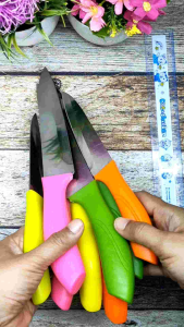 Pisau Dapur Stainless Tebal Gagang Warna Warni Ceria