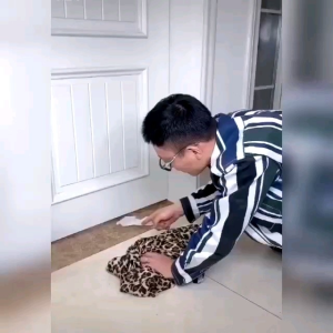 Busa Penutup Celah Pintu Bawah Alas Spon Penghalang Kecoa Serangga