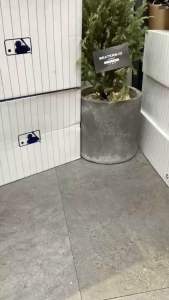 CHÍNH HÃNG - GIÀY MLB CHUNKY MID LINER BASIC NEW YORK YANKEES - 3ASXLMB3N-50BKS Sale off