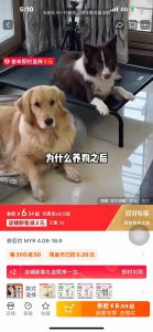 宠物除臭剂杀菌去尿味猫咪狗狗猫尿狗尿生物酶分解剂消毒除臭喷雾