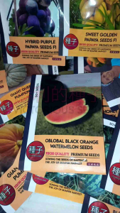 1 Pack (50 Butir) Benih Semangka Black Orange Non Biji Premium Original import / Benih semangka
