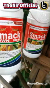 Insektisida SMACK DOWN 100 EC (400ml) obat Hama tanaman jagung kedelai kubis lada semangka teh dll