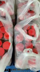 Hủ 650gr chao môn cốt dừa siêu béo