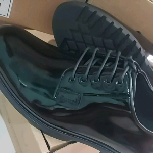 SEPATU PDH JATAH TNI AU