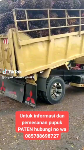 Pupuk PATEN Gold untuk Sawit: Hemat Praktis & Panen Melimpah