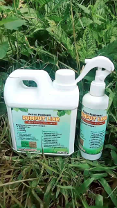 CAIRAN PEMBASMI RUMPUT LIAR AMPUH ISI 1LT SIAP PAKAI.GULMA ILALANG SIAP DI BASMI