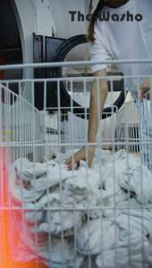 The Washo - Laundry Detergent Sheets (Ocean & Freesia)