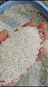 BERAS SUPER ENAK DAN PULEN INPARI 42