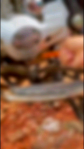 PEMBERSIH KERAK MESIN ENGINE DEGREASER 250ml FREE KUAS APLIKATOR Membersihkan Mesin Mobil dan Motor Menghilangkan Noda Oli dan Grease