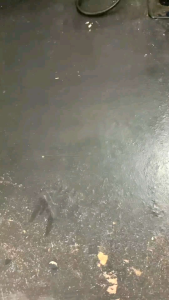 Tas Hanphone Minimalis Kulit Pria super premium Tas Sabuk Calm kulit New Elegan