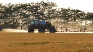 1 แถม 1 ปุ๋ย VAMAX+CABMAX