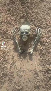 Mô hình trang trí Halloween trên mặt đất áp dụng trang trí phòng xăm hình phù hợp