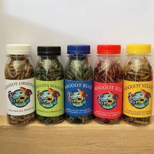 Magot Kering Pakan Channa Kemasan Botol 100ml