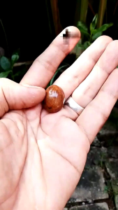 Batu Mustika Lirbang Mustika Abang