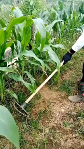 Alat Pembersih Rumput dan Gulma