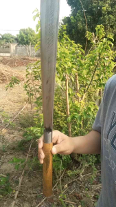 ดอector 30 ซม. มีดยาวตัดกิ่งไม้ปลายตัดเหล็กแหนบ ความยาวใบมี 30 ซม