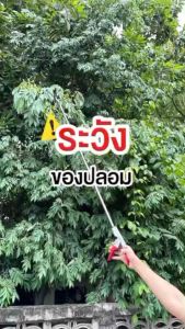 กรรไกรตัดกิ่งไม้ ด้ามสแตนเลส ยาว 2 เมตร แข็งแรงและคม ตัดกิ่งไม้หนา 3 เซนติเมตร กรรไกรตัดแต่งกิ่ง กรรไกรตอนกิ่ง