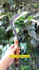 Arit rumput dan padi Mini Berkualitas asli empu Wonosobo
