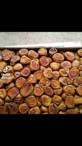 kurma sukari premium kemasan 35 kg