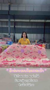 ผ้าห่มนวมใส่กระเป๋าซิป ขนาด 5-6 ฟุต มีบริการเก็บปลายทาง