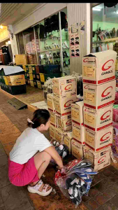 (รองเท้าแตะจิ๋ว Gambol เด็ก1ขวบขึ้นไป รหัส 11220 ขนาด 31-36)