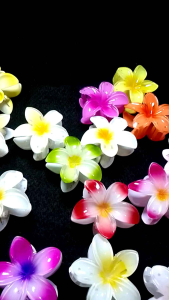 6 pcs jepit rambut Kamboja besar / jedai Kamboja viral / jepit Kamboja ukuran 8 cm / jepit rambut Kamboja trendi