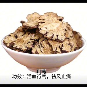 (100%正品）南京同仁堂 老黑膏热敷膏药贴 1盒10贴（正品 现货 防伪扫码可查）